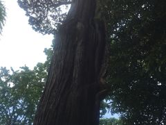 -青岛崂山太清宫