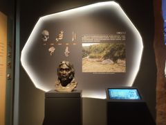 -广西壮族自治区博物馆