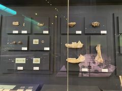 -北京周口店北京人遗址博物馆
