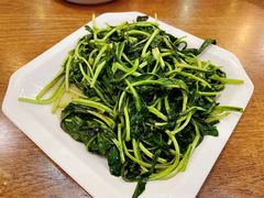 清炒马兰头-老马家·舌尖上的西塘美食