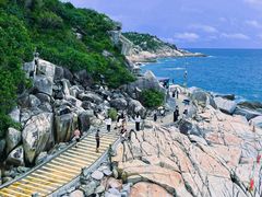 -广东惠东海龟国家级自然保护区