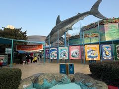 -海合安武汉极地海洋公园