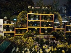 android_upload_pic-西北湖绿化广场