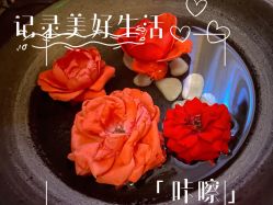 -梵隐SPA