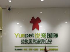 -悦宠动物医院(京丰分院)