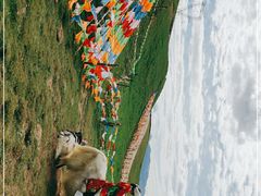 -日月山景区
