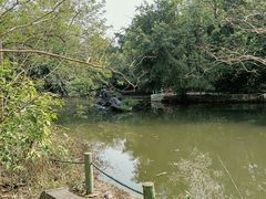 -广西壮族自治区药用植物园
