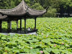 -高子水居