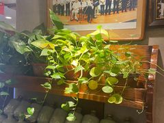 -七菜馆·东北菜·蒸饺(文体路店)