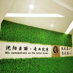 -臣丽纹眉品牌连锁
