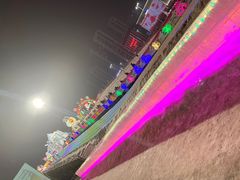 -沈阳奥体冰雪嘉年华