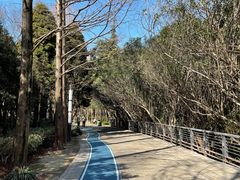 -苏州河梦清园环保主题公园