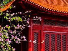 -南沙天后宫景区