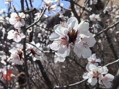 -北京凤凰岭