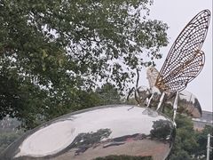 -南山植物园