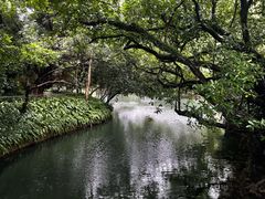 -广州兰圃