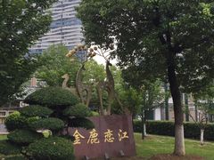 -武昌江滩