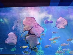 -泉城欧乐堡海洋极地世界