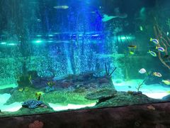 -沈阳海洋探索中心