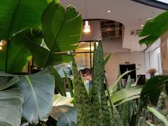 -大树餐厅(红旗街万达店)