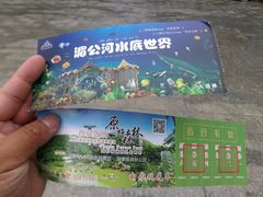 -西双版纳原始森林公园