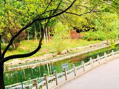 -大望京公园