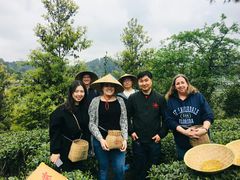 餐具摆设-香霸头跑山鸡