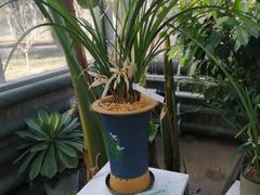 -国家植物园南园