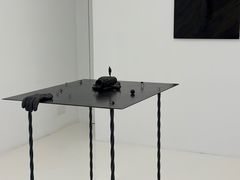 -胶囊画廊