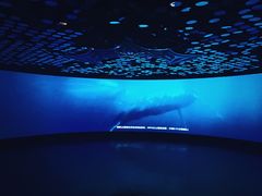-同济大学四平路校区深海探索馆