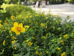 -莲湖公园