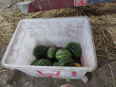 -江杨农产品批发市场