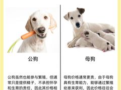 -萌兽医馆·犬猫专科·眼科中心·宠物医院(朝阳门分院)