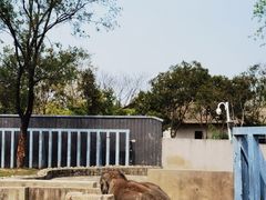-上方山森林动物世界