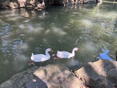 -兰亭风景区