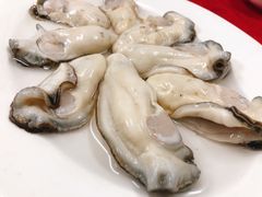-花苑美食横琴生蚝火锅(拱北粤华路店)