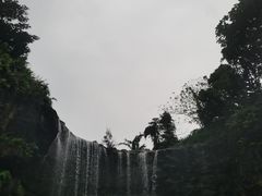 -新加坡飞禽公园