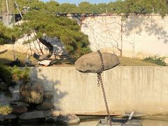 -得丘礼享谷·玉兰苑