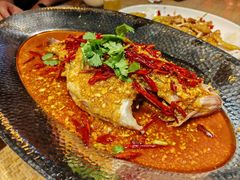 -大张烙馍村·美食地标(泉山店)