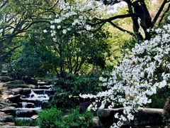-中国茶叶博物馆(双峰馆区)