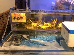 -蒸気海鮮