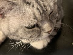-平行世界·猫咖(首经贸店)