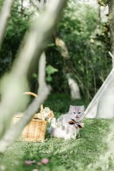 -ZOO KIDS象集摄影工作室(西城公馆店)