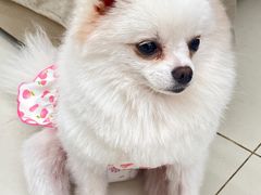 -怪兽屋·羊驼·猫咖·狗咖(俊华广场店)