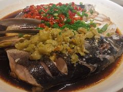 鱼头双拼-贴阁碧(百丈东路店)