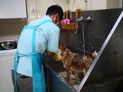 -北京观赏动物医院·24小时大型综合·猫专科·异宠专科