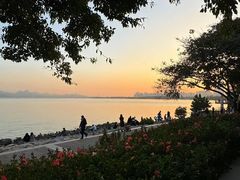 -深圳湾公园(南山区)