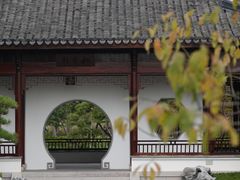 -上海滨江森林公园