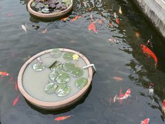 -石峰岩寺