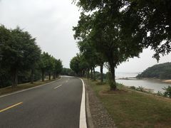 -福建鲤鱼洲酒店